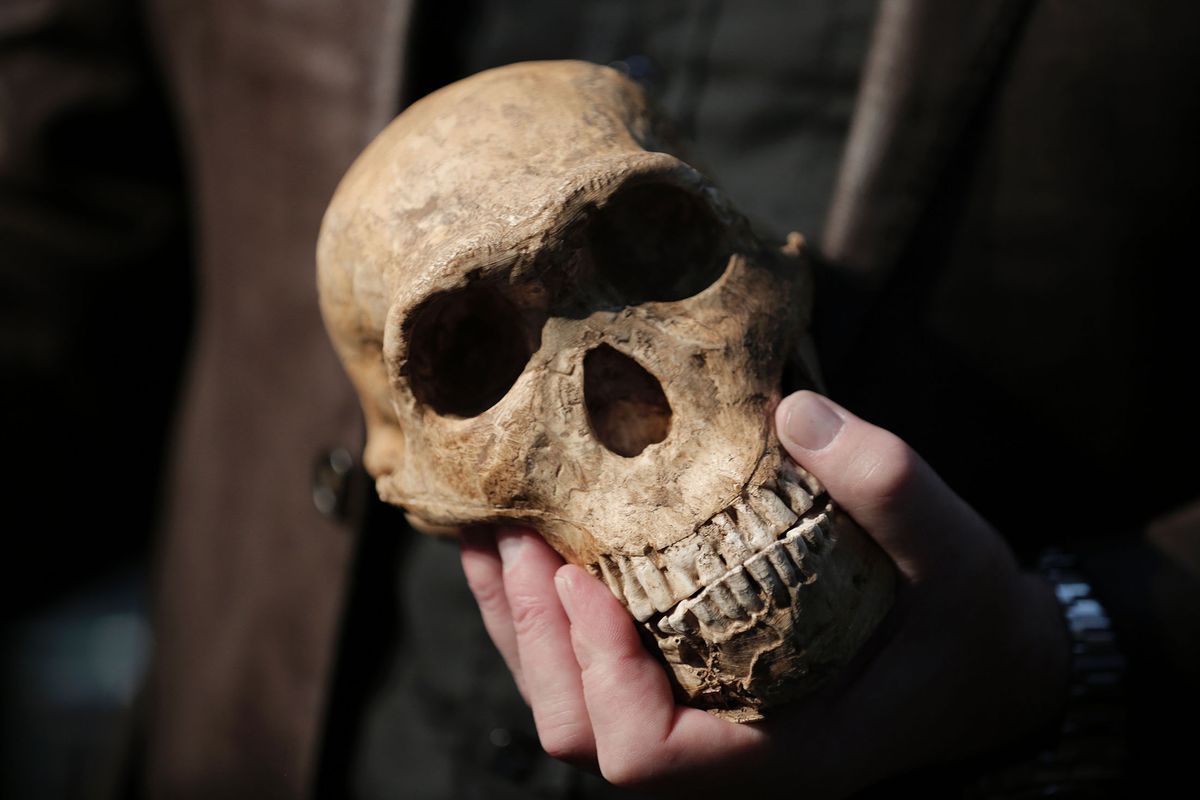 Craniul Uman Găsit Într-Un Râu Din Indiana Are Peste 4.000 De Ani, Potrivit Arheologilor